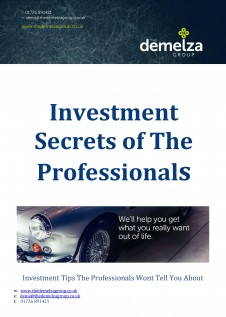 Investment Secrets of The Professionals